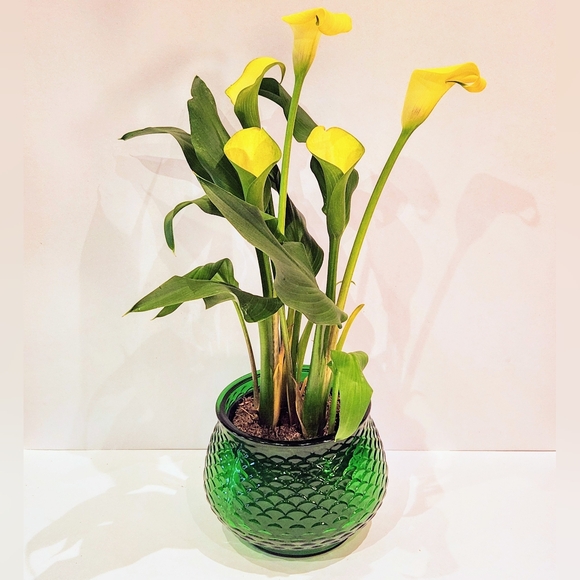 Set Of 2 green glass bowl vases. By E.O. Brody Cleveland Ohio - Picture 2 of 8